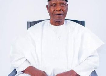 ADEBAYO HELD ALOFT THE BANNER OF THE UPN, LED BY OBAFEMI AWOLOWO,  TINUBU PENS TRIBUTE TO A TRUE STATESMAN