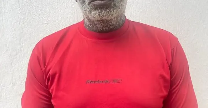 Court Jails Man Seven Years for N11.4m Land Fraud