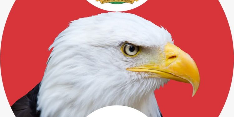 Court Jails 14 Chinese for Cyberterrorism, Internet Fraud in Lagos