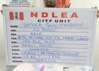 After 7 Years on the Run, NDLEA Arrests Wanted Drug Kingpin with 11.6kg
