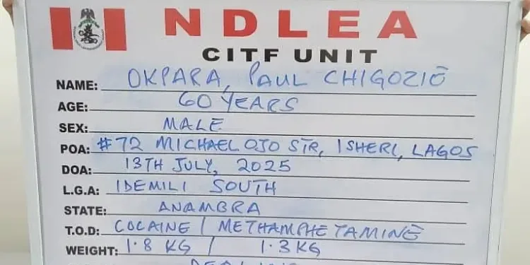 After 7 Years on the Run, NDLEA Arrests Wanted Drug Kingpin with 11.6kg