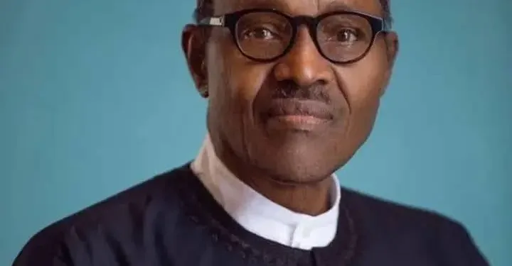 VIEWPOINT: BUHARI; SOLDIER, STATESMAN, STRUGGLER, By Dare Babarinsa