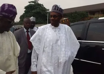 VIEWPOINT: FROM ANTAGONIST TO PROMOTER: GOODBYE PRESIDENT BUHARI, BY RAHEEM ADEDOYIN