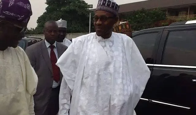 VIEWPOINT: FROM ANTAGONIST TO PROMOTER: GOODBYE PRESIDENT BUHARI, BY RAHEEM ADEDOYIN