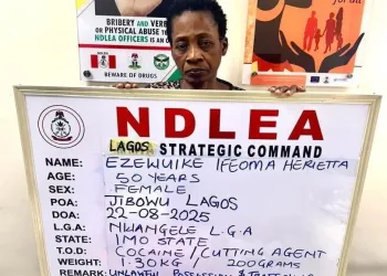 Widow Using Fake Pregnancy to Traffic Cocaine Arrested by NDLEA 