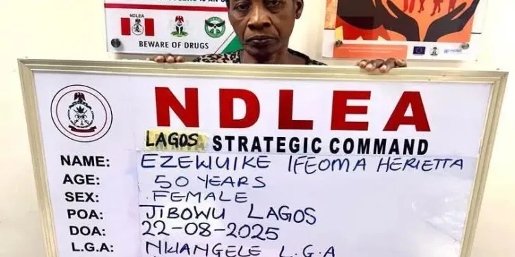 Widow Using Fake Pregnancy to Traffic Cocaine Arrested by NDLEA