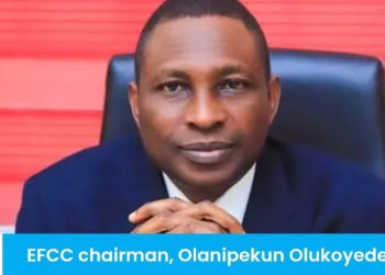 Viewpoint: Olumhense’s Hot Air against EFCC, By Tony Egbulefu