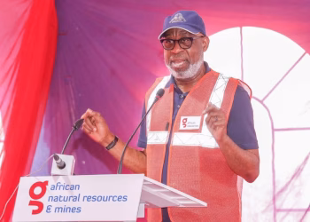 TINUBU EULOGISES MINISTER OF SOLID MINERALS, DELE ALAKE, ON 69TH BIRTHDAY