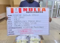 Businessman Excretes 127 Cocaine Wraps at MAKIA as NDLEA Uncovers Meth in Ceramics