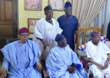 Development Has No Party,  Progress Knows No Partisan Affiliation – Afenifere Leader