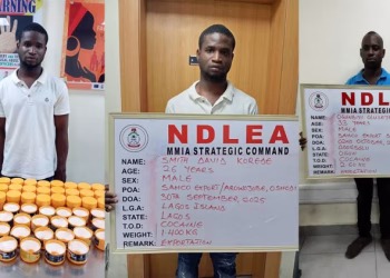 NDLEA Smashes Cocaine Cartels Behind 6 UK-bound Shipments, Arrests Arrowhead